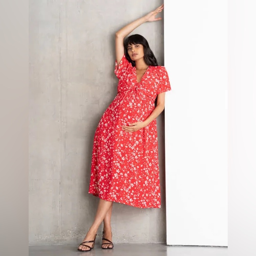 Seraphine Red Floral Maxi Nursing Dress Size 6